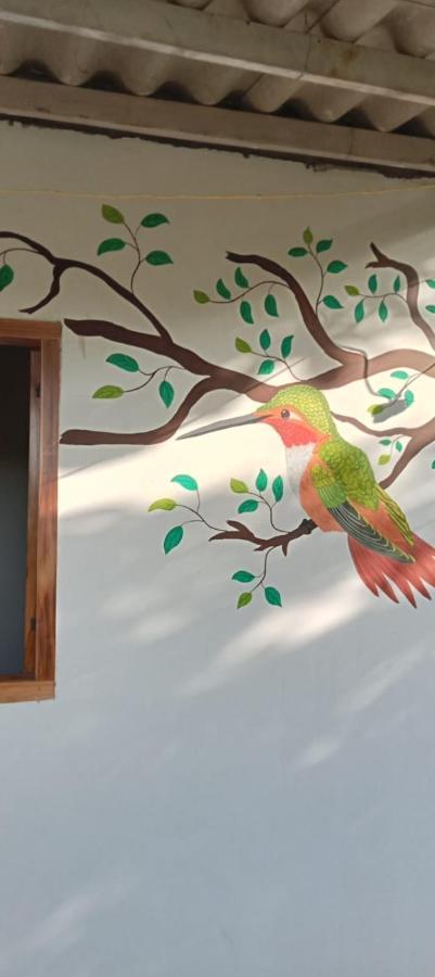 Sierra Kay Hostel Гуачака Номер фото